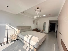 武汉洪山光谷软件园近财大 民族大学 光谷软件园 南湖时尚城 政院小区 南湖大道出租房源真实图片