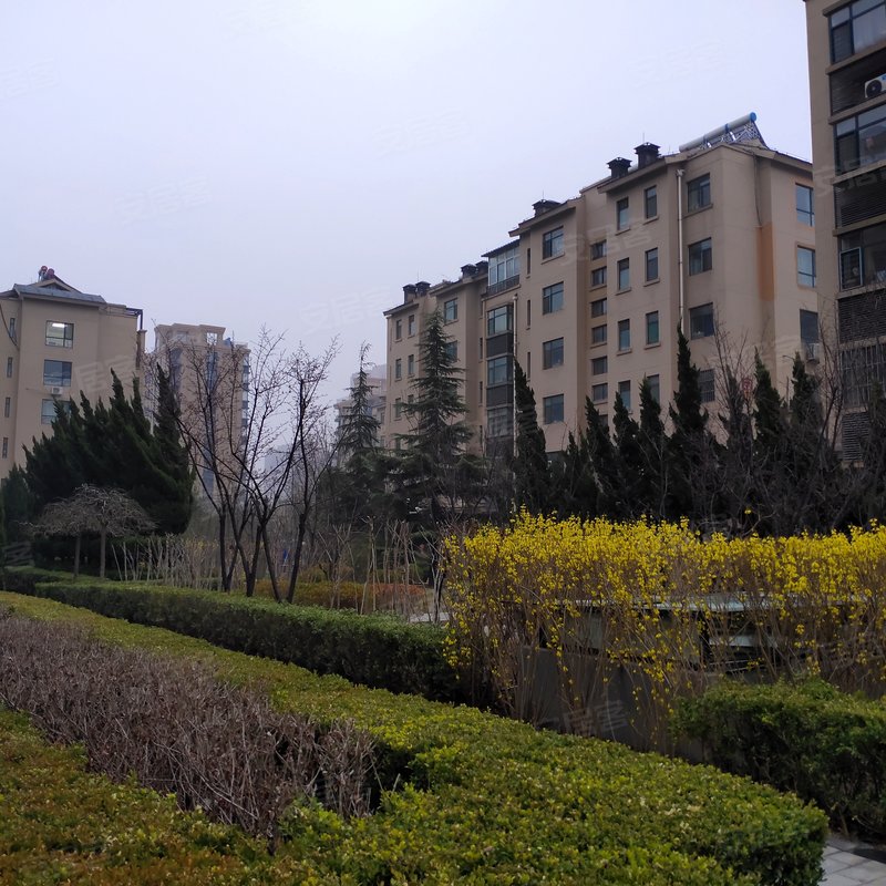 【国大东方天韵, 国大东方天韵小区专家解读页】- 潍坊58同城