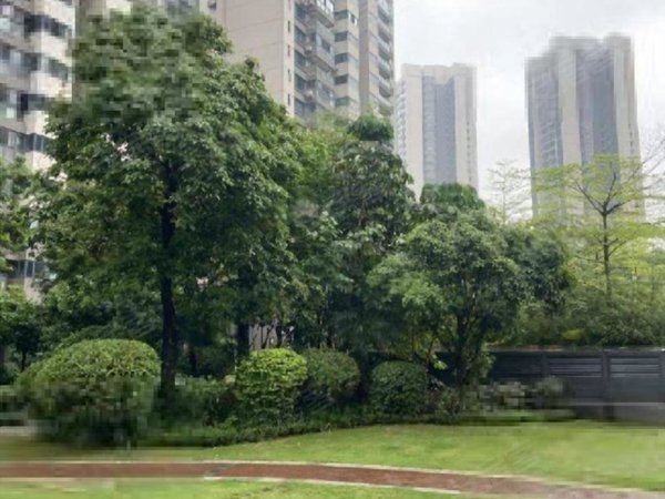 东环租房,荣和千千树城中 窑埠古镇 东环路 市 五星街,鱼峰租房-柳州
