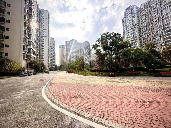 【多图】芙蓉锦绣城东苑,金牛周边租房,无中介 西部战区总医院 地铁三