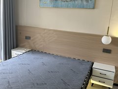 常州天宁茶山中吴大道茶山巷万象城斜对面精装修拎包入住家电齐全押一付一出租房源真实图片
