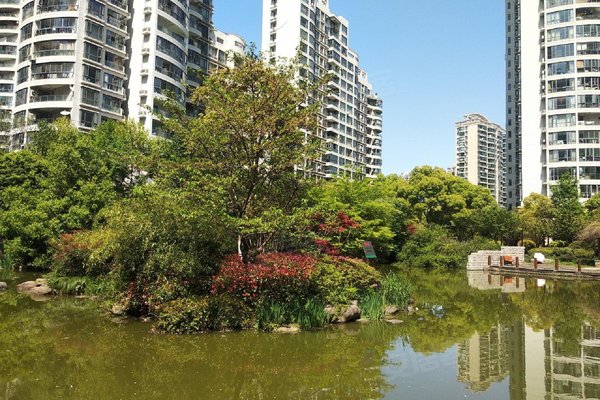上海二手房 新湖明珠城(一期) > 李博解读新湖明珠城(一期)轨道交通
