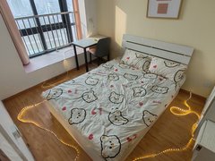 合肥蜀山安徽大学安徽大学,中国科学技术大学,合肥科技馆,世界之窗产业园,主卧出租房源真实图片
