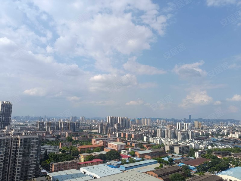 柳工颐华城柳太路1号3室2厅2卫11938平方米