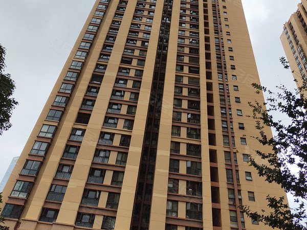 地铁口高新一小旁丽阳星城精装修1室1厅