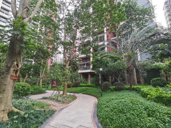 深圳龙岗坂田信义嘉御山双地铁口 楼下商场 新出朝南二房 高层视野