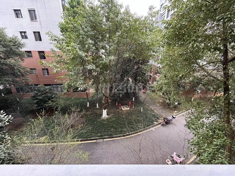 重庆房产网>重庆二手房>合川二手房>合川区城南二手房>金九南滨花园>