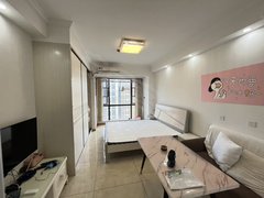 株洲荷塘红旗广场荷塘区 红旗广场全新精装公寓 800带网络 可短租 家电齐全出租房源真实图片