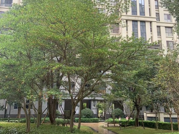 福州长乐吴航皇庭名郡国惠沃尔玛万星广场长山湖大润发附近皇庭名郡大