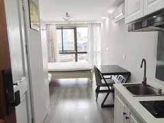 上海静安新客站精装公寓 拎包入住 付一押一 多套户型供您选择 租金实惠！！出租房源真实图片