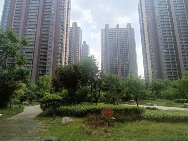 淄博张店马尚宏程国际广场(商住楼)实拍图 邻万达 宏程国际 精装公寓