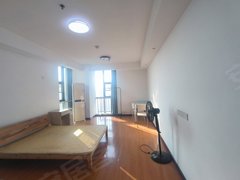 武汉蔡甸蔡甸周边常福壹号公馆 1室1厅1卫 电梯房 精装修出租房源真实图片