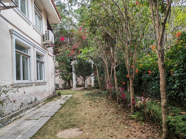 深圳罗湖银湖田园居别墅本人专做银湖别墅   田园居独栋别墅   大花园