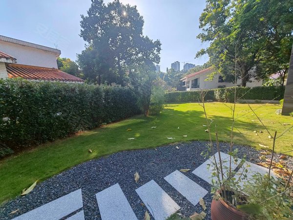 深圳南山蛇口鲸山别墅南山蛇口独栋大别墅放租,豪华装修,私家电梯