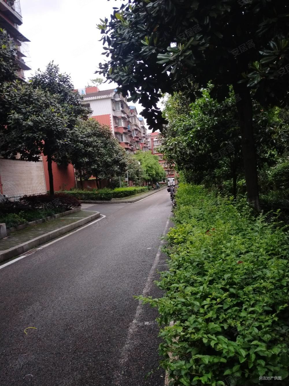 两江新区大竹林银竹苑一室一厅小区中庭位置安静