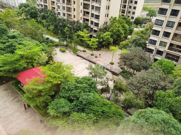 广州增城中新镇恒创恒福花园恒创恒福花园 4室2厅3卫 精装修 153平