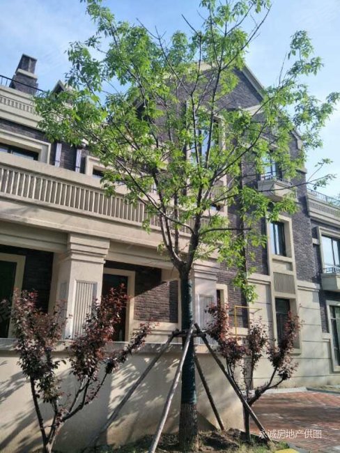 凤河孔雀城 大两居 房龄新 南北通透 楼层好 电梯房