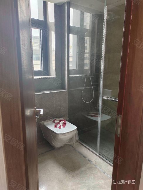 必看好房新世界宁铸尊府大平层全新未住专业豪宅买卖