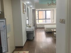 安阳文峰中环百货万达B座精装公寓 押一付一 家具家电齐全出租房源真实图片