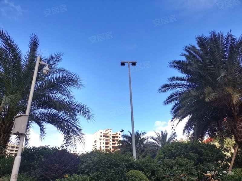 碧桂园翠湖湾 环境好 双卫生间 精装修 停车方便 南向采光好