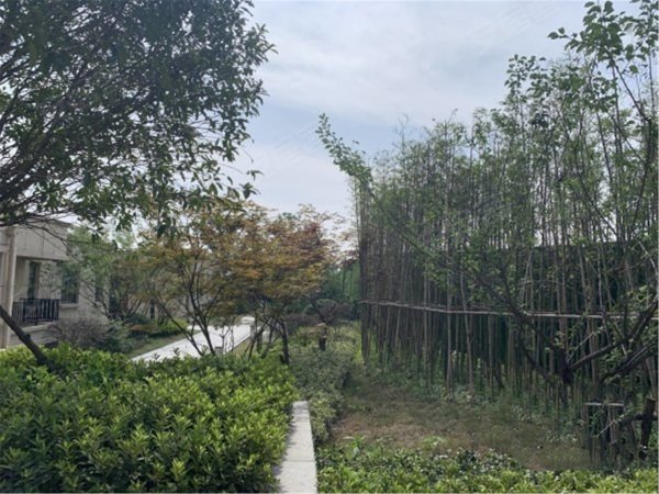 徽鸿彩生活广场