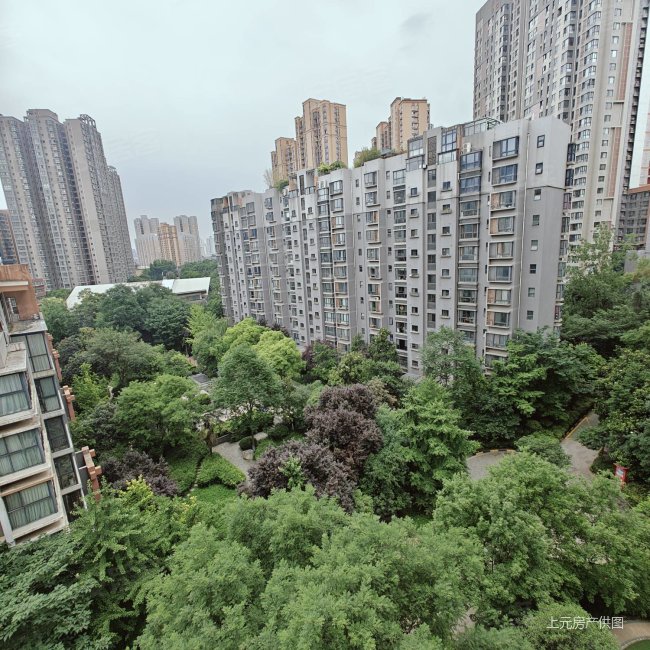 高新枫林华府 精装可拎包入住 双卫生间 正规商品房 中间楼层