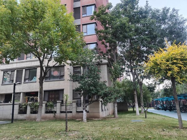 晋中榆次万达广场红星天铂大学城,红星天伯,精装三室两卫,便宜出租