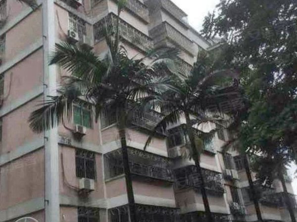 【多图】碧海湾花园,碧海湾租房,火爆出租!