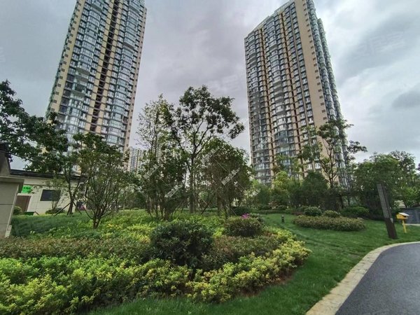 昆明盘龙江东花园俊发城郁金苑好便宜 本人实拍 地铁口 俊发城 精装4