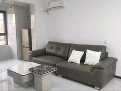 衡水桃城开发区顺兴小 学西邻！保利拉菲公馆！奥体花园！鑫怡佳苑！隆兴宜居！出租房源真实图片