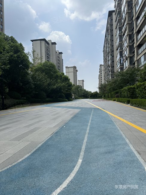 壁纸 街道 街景 488_650 竖版 竖屏 手机