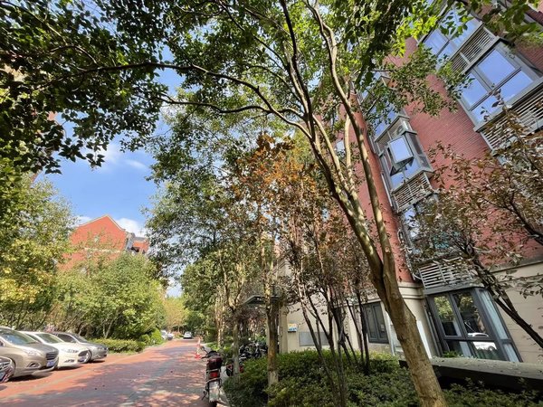 上海宝山罗店信达郡庭(别墅)美兰湖地铁口下叠别墅4房4卫精装整租