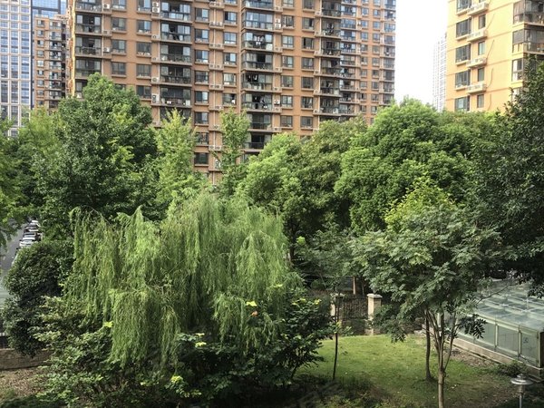 杭州钱塘金沙湖北苑大厦高沙地铁口200米 印象城150米 月付 独门独户