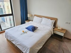 上海浦东新场新场工业园区精装修公寓出租，拎包入住出租房源真实图片