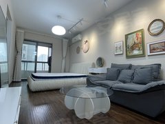 合肥包河中铁四局江南新里程 带燃气 省儿童医院 广电 漫乐城隔壁精装一室一厅出租房源真实图片