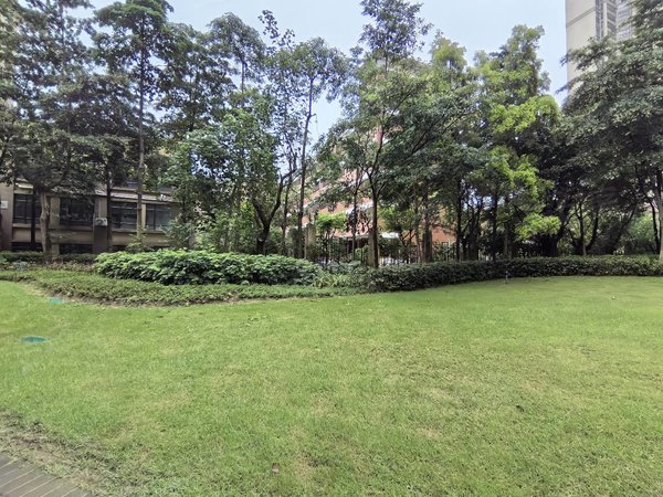 【多图】保利花城,新区租房,哇!