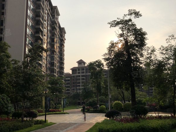 广州花都狮岭狮城国际致岭假日花园 阳光充足 精装修 3室2厅1卫出租