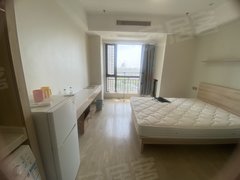 常州新北龙虎塘正南 1室1厅 九洲湾星公寓 精装修出租房源真实图片