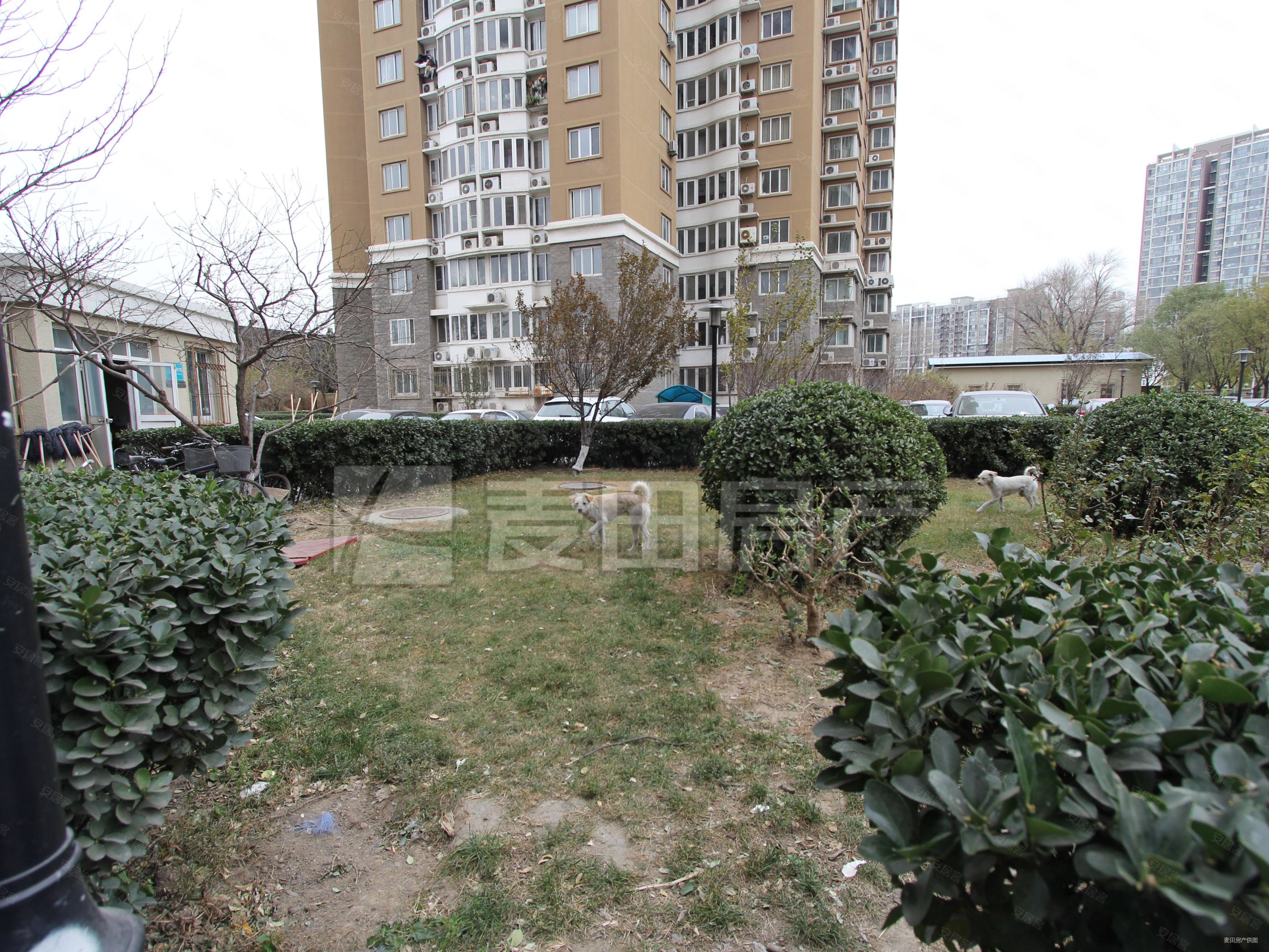 北京房产网>北京二手房>朝阳二手房>奥林匹克公园二手房>澳林春天