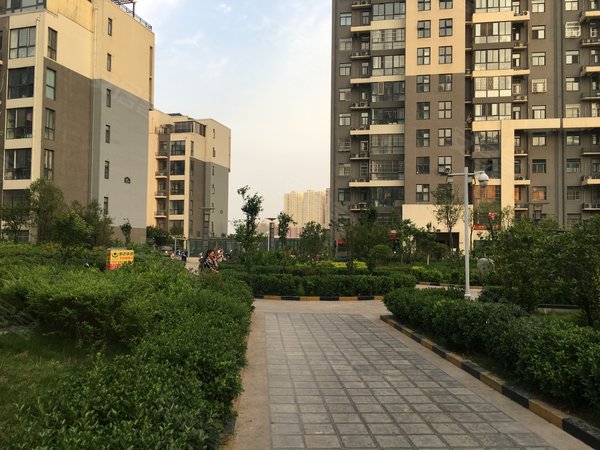 郑州金水国基路森林阳光花园森林阳光花园 4室2厅2卫 双气 南北通透