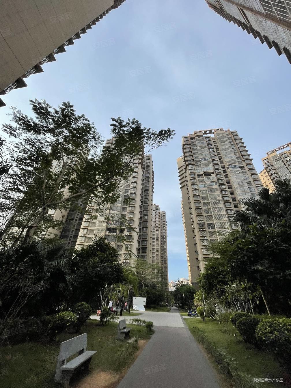 滨江新苑有性价比的三房英才学堂装修品质很不错业主急售