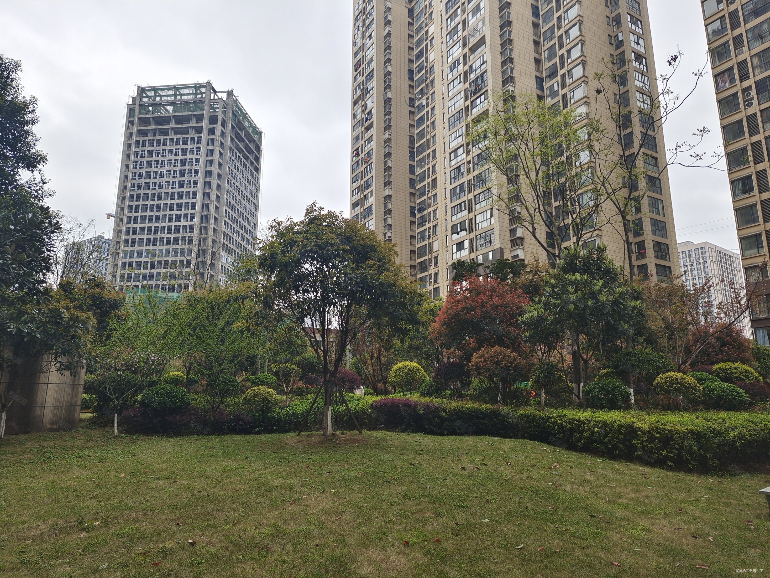明发国际城