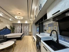拉萨堆龙德庆拉萨火车站双创豪华装修单间拎包 品牌家具家电出租房源真实图片