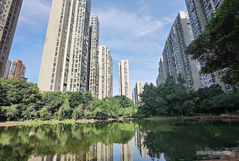 急售 联诚国际 精装大三房 南北通透 电梯好楼层 有钥匙,联诚国际城