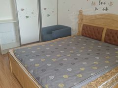 武汉黄陂盘龙城奥特莱斯V公寓 1室1厅1卫  电梯房 精装修40平米出租房源真实图片