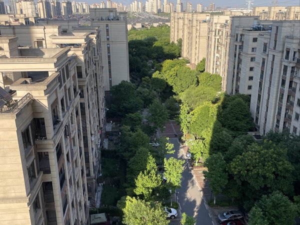 尹山湖双湾花园一室一厅,近地铁月亮湾华为桑田岛创意园