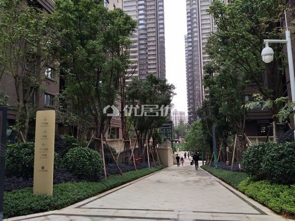 【多图】新希望锦官城,壮锦大道租房,锦官城四房三阳台配套出租,江南
