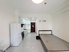 武汉汉阳四新凤凰湖公园 精致一居独门独户 泰康同济 市中医院 诚意出租出租房源真实图片