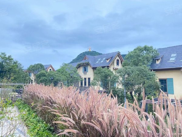 深圳盐田大梅沙天麓(六区)东部华侨城天麓六区类别墅豪华装修上下三层