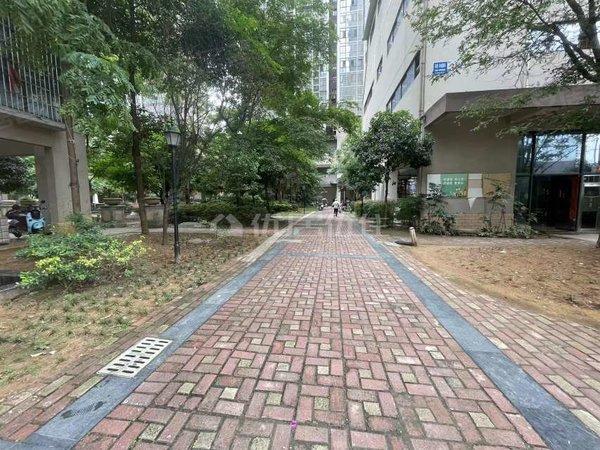 绵阳高新区永兴镇西城国际整租 西城国际 普装 电梯房 2室 拎包入住